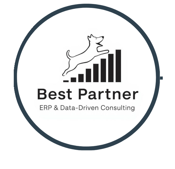 โลโก้ Best Partner Solutions